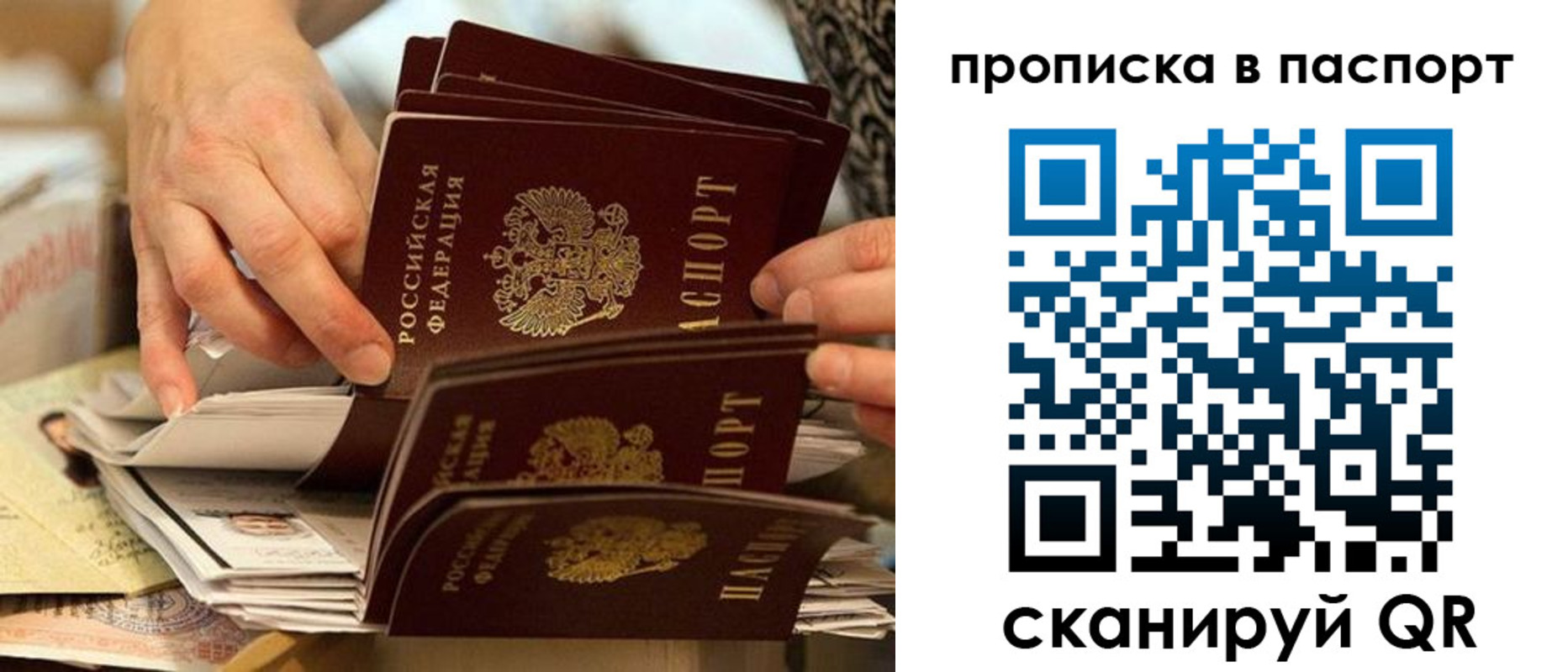 прописка законно в Киселёвске